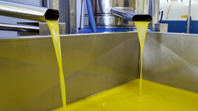Olive Oil mill industry,extraction machine process,extra virgin oil liquid flow,haelthy food ingredients