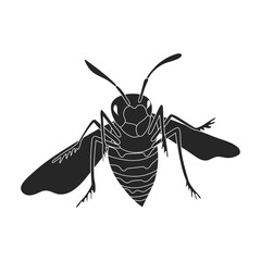 Insect wasp vector icon.Black vector icon isolated on white background insect wasp .