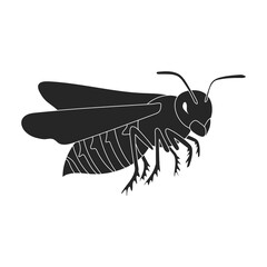 Insect wasp vector icon.Black vector icon isolated on white background insect wasp .