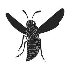 Insect wasp vector icon.Black vector icon isolated on white background insect wasp .