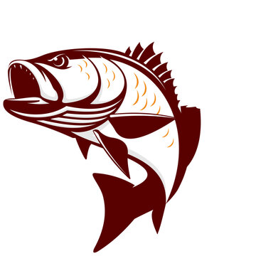 Snapper Fish Vector Images – Browse 1,821 Stock Photos, Vectors, and