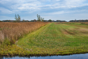 Obraz premium Reedland and grassland in National Park Weerribben-Wieden in the Netherlands, the largest bog in North-West Europe, consisting of lakes, ponds, canals, peatlands, reed beds and forests. 