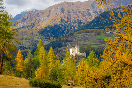 Beautiful golden Larches around the Castel of Tarasp, Scuol, Engadin, Switzerland, Europe
