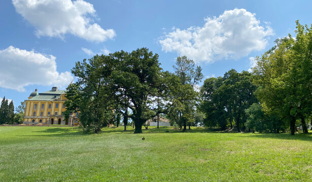 Park of the Pejacevic castle in Nasice or park next to the Pejacevic family castle - Slavonia, Croatia (Park dvorca Pejačević u Na&scaron;icama ili Perivoj uz dvorac obitelji Pejačević, Na&scaron;ice - Slavonija)