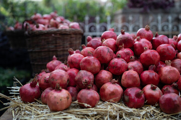 Harvest of ripe pomegranate on dry straw and in wicker baskets at outdoor farmers market in Tbilisi Georgia. Vegetarian healthy food