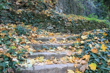 Stone steps covered with leaves in the locality of Madara (Bulgaria) in autumn
