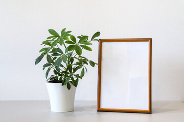 Mock up minimalist home interior with empty brown wooden photo frame and potted green house plant