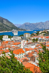 Naklejka na ściany i meble Kotor, Montenegro, Europe. Bay of Kotor on Adriatic Sea. Roofs of the historical buildings in the old town, sea and mountains in the background. Clear blue sky, sunny day.