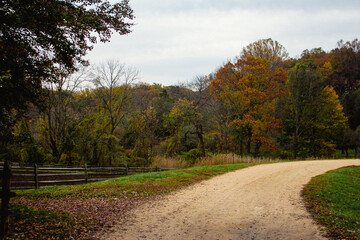 Dirt road surrounded by colorful trees.