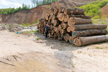 Stacks of cut wood. Deforestation forest and Illegal logging. Wood logs, timber logging. Destruction the environmetal and ecology.Global warming