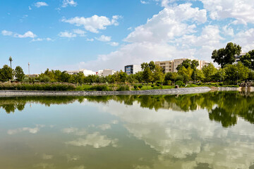 Artificial lake in the middle of an urban park