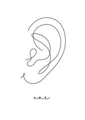 Pen line poster ear drawing in pen line style on white background