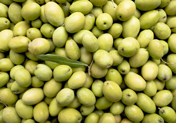 Green olives background, close-up of green olives.