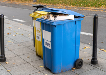 Black, blue, yellow, green garbage recycling bins on street in city. Separate waste, preserve the environment concept. Segregate waste, sorting garbage. Colored trash cans with paper, glass, plastic