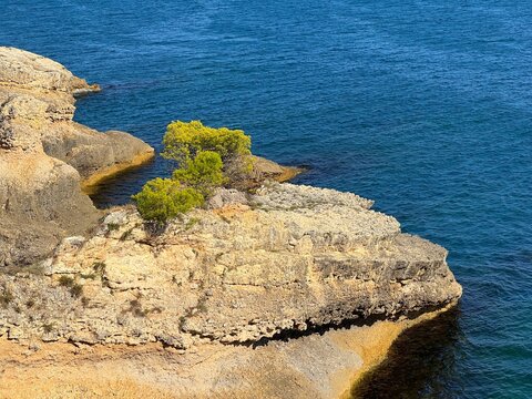Rocky coast of the sea.