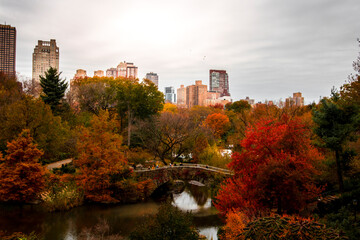 Central park people, leaves