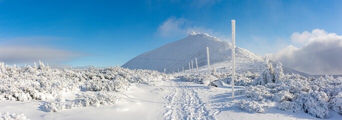 Panorama of snow covered "Sniezka" mountain in winter, Karkonosze mountains