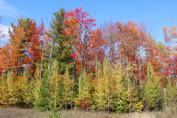 Fall landscape eastern townships Bromont Quebec province Canada