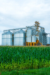 silver silos on agro manufacturing plant for processing drying cleaning and storage of agricultural products, flour, cereals and grain. Large iron barrels of grain. Granary elevator © Pokoman