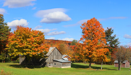 Fall landscape eastern townships Bromont Quebec province Canada