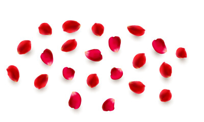 Realistic  elements set of rose petals. Red petals of rose flower. PNG on transparent background