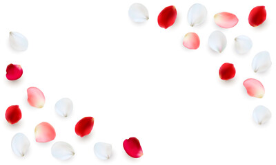 Realistic  elements set of rose petals. PNG on transparent background