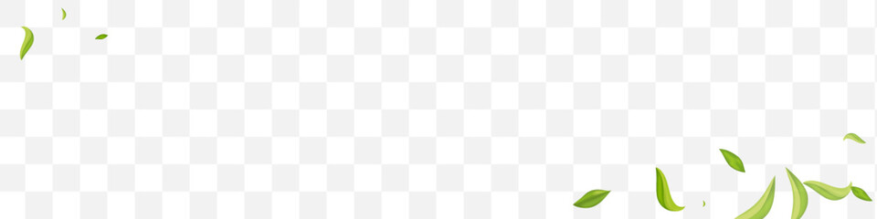 Grassy Leaves Realistic Vector Transparent