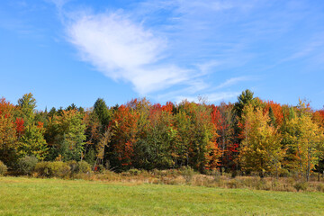 Fall landscape eastern townships Bromont Quebec province Canada