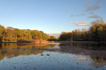 volkspark jungfernheide