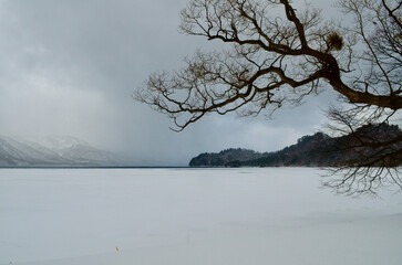 Lake Towada in Winter with No One Around
