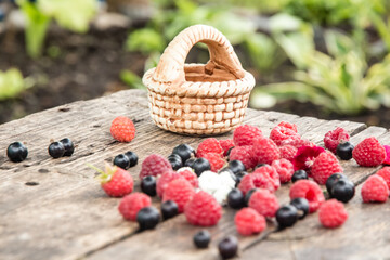 Ripe, juicy red raspberries and black currants are beautifully scattered on wooden boards. Clay basket and delicious berries.