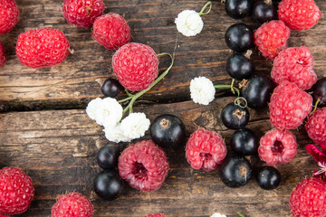 Ripe, juicy red raspberries and black currants are beautifully scattered on wooden boards.