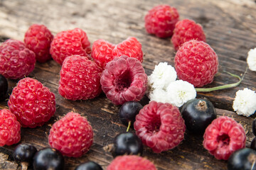 Ripe, juicy red raspberries and black currants are beautifully scattered on wooden boards.