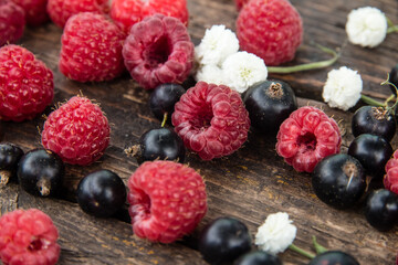 Ripe, juicy red raspberries and black currants are beautifully scattered on wooden boards.