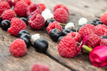 Ripe, juicy red raspberries and black currants are beautifully scattered on wooden boards.