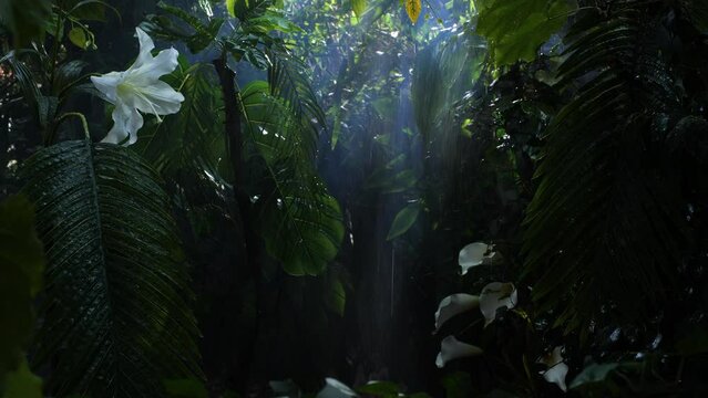 Jungle paradise utopia, Amazonian rain forest