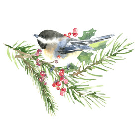 Watercolor Christmas bird composition. Winter tufted titmouse illustration with poinsettia, holly berry, fir, spruce,berry branch, mistletoe, holly, pine cone and bells. Greeting holiday card,New Year © Catherine