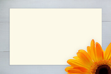 Floral frame with Beautiful yellow gerber daisy flower on vintage white wood background with sheet...