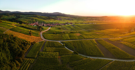 autumnal view of the alsace vineyards