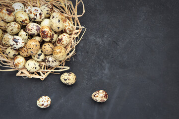 Raw quail eggs in the nest on the black wooden surface with space for text, top view.