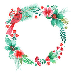 Naklejka premium Red Cardinal Bird Christmas Wreath with Holly, Pine Needles, Red Flowers and Berries in Watercolor