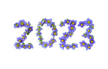 2023 made from small purple flowers. Persian violet s in full bloom on white background with clipping path. Happy new year, hello 2023 Concept.