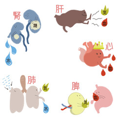 東洋医学の五臓である肝臓、心臓、脾臓、肺、腎臓の働きを表したイラスト