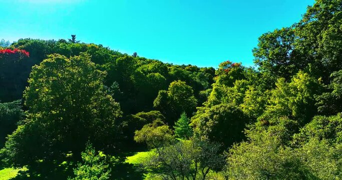 Morningside Park In Scarborough Ontario, Drone Shoot, Green 