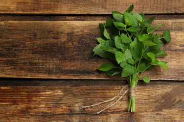 Bunch of fresh green lemon balm on wooden table, top view. Space for text