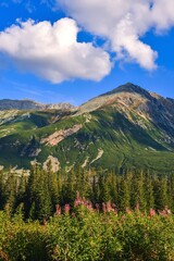 Fototapeta na wymiar Beautiful summer landscape. Beautiful sunny day in the Polish Tatra Mountains.