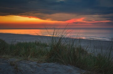 Sunset by the sea. Green grasses on the beach in Leba in Poland in the evening scenery.