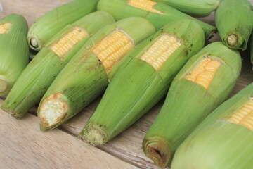 Rows of raw corn on a wooden table