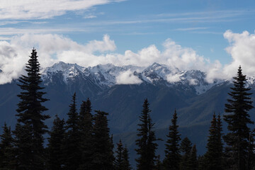 Olympic National Park
