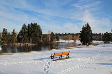 winter in the park, William Hawrelak Park, Edmonton, Alberta